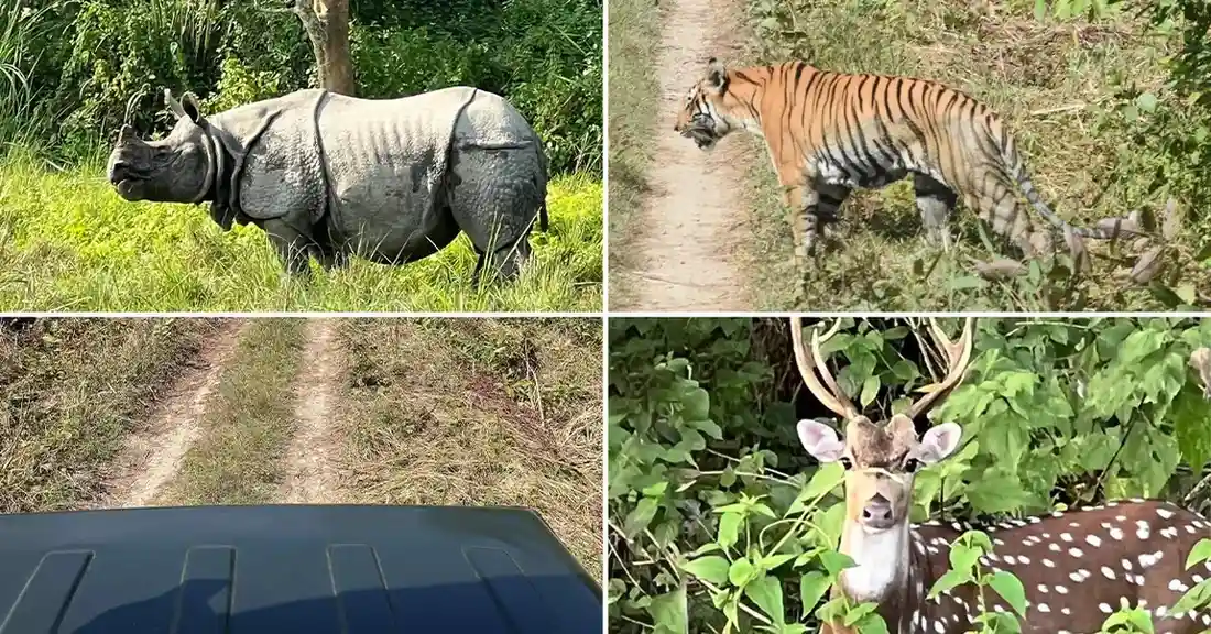 Top Things to Do in Chitwan, Nepal for Women Travelers