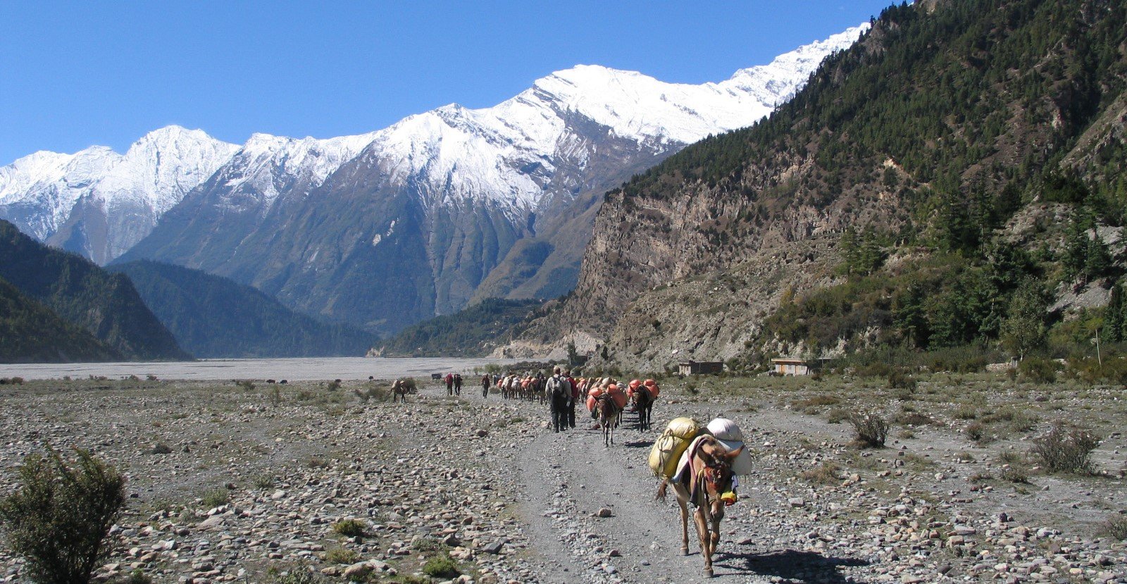 Annapurna Circuit Trekking