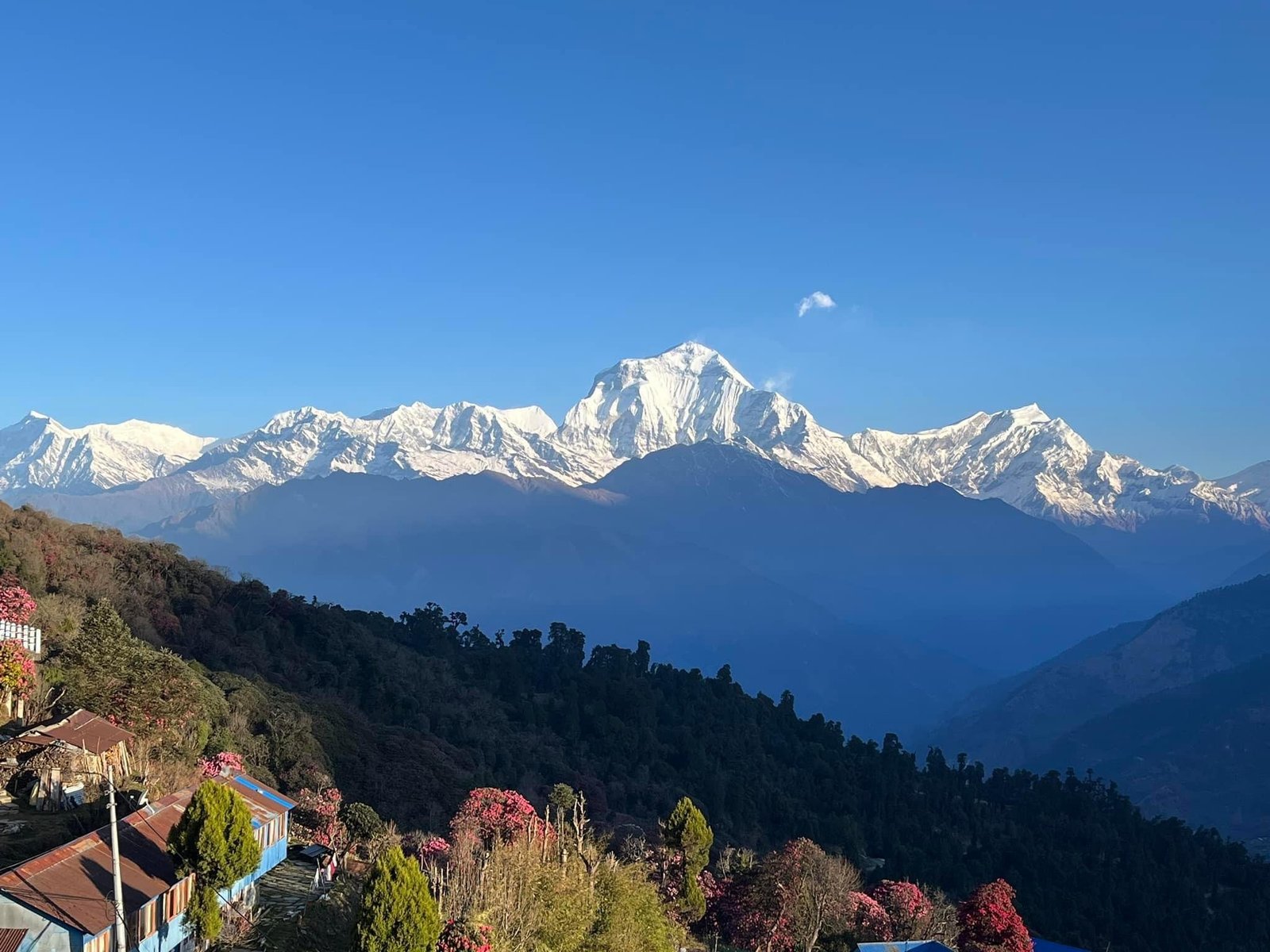 Mohare Danda Trekking