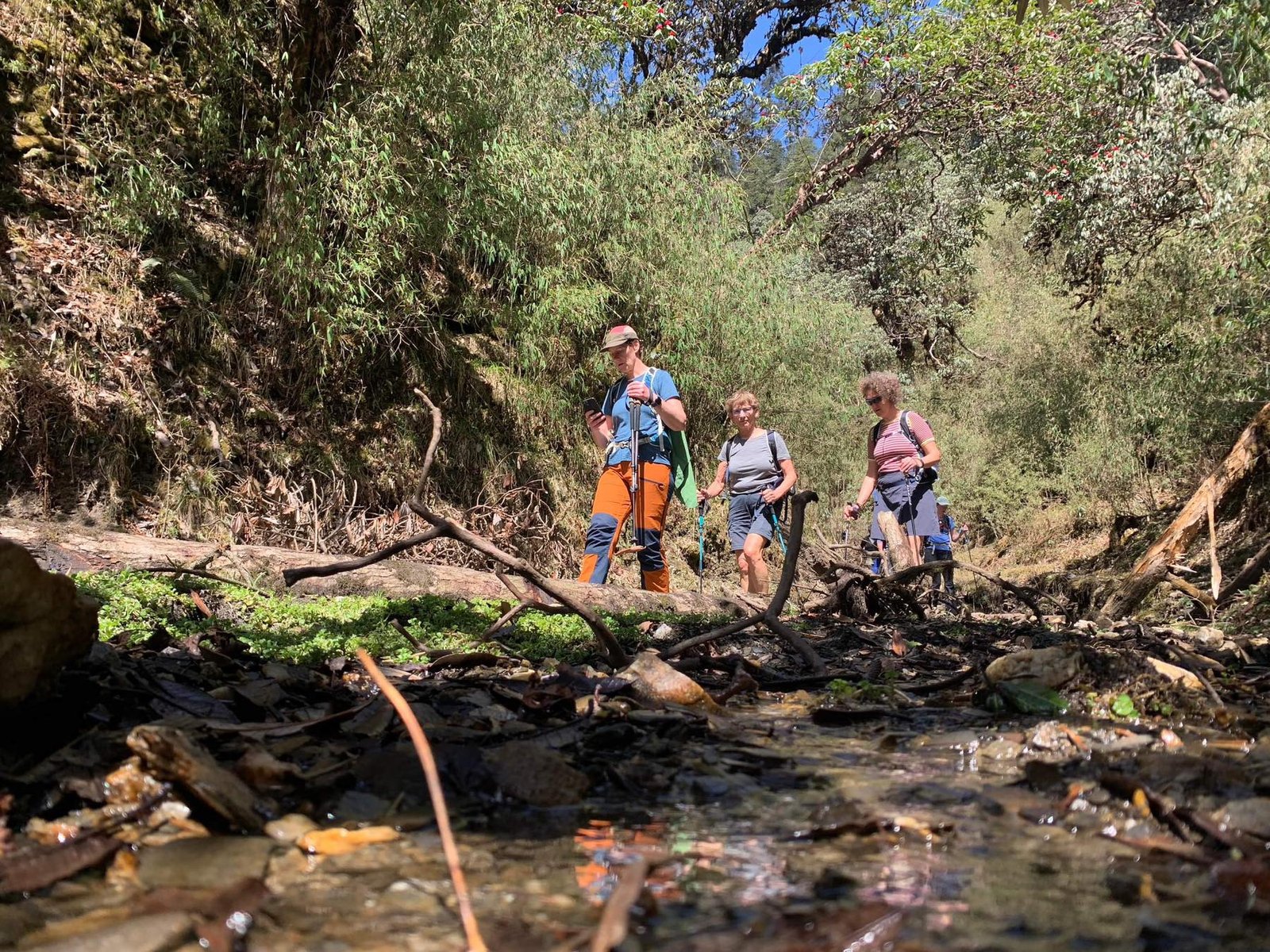 mohare-danda-trekking-road-and-trails-image