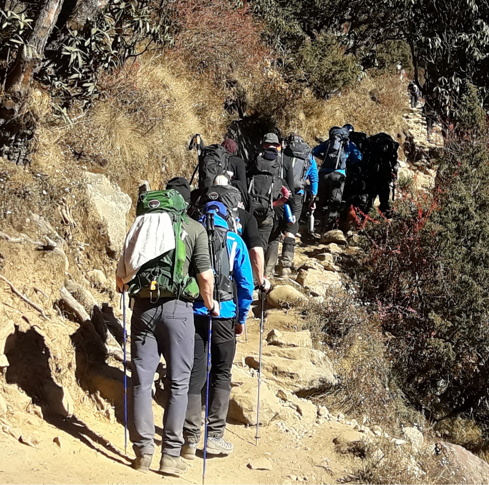 gokyo-to-everest-base-camp-via-cho-la-pass-trekking-road-and-trails-image