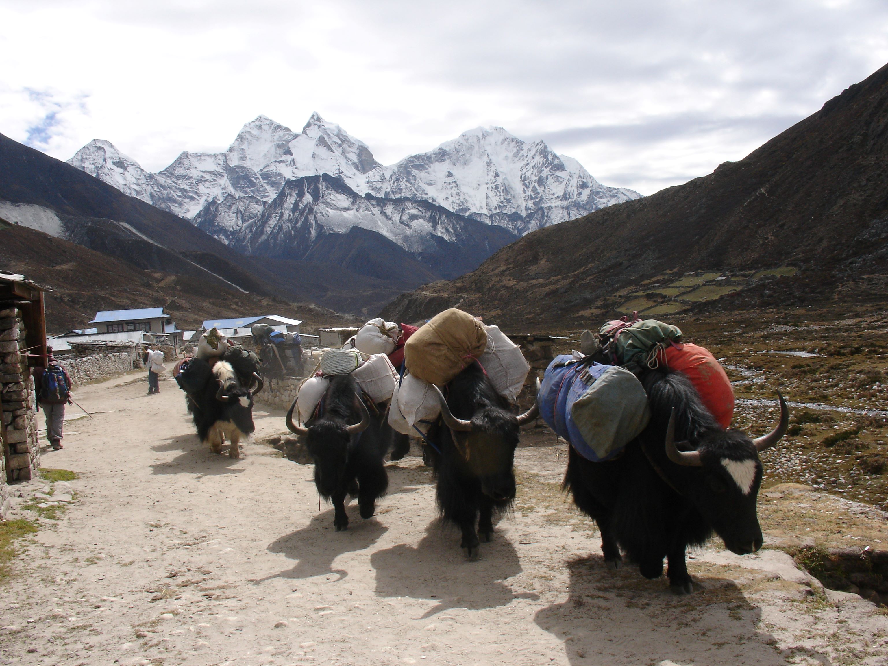 Everest Panorama Trekking