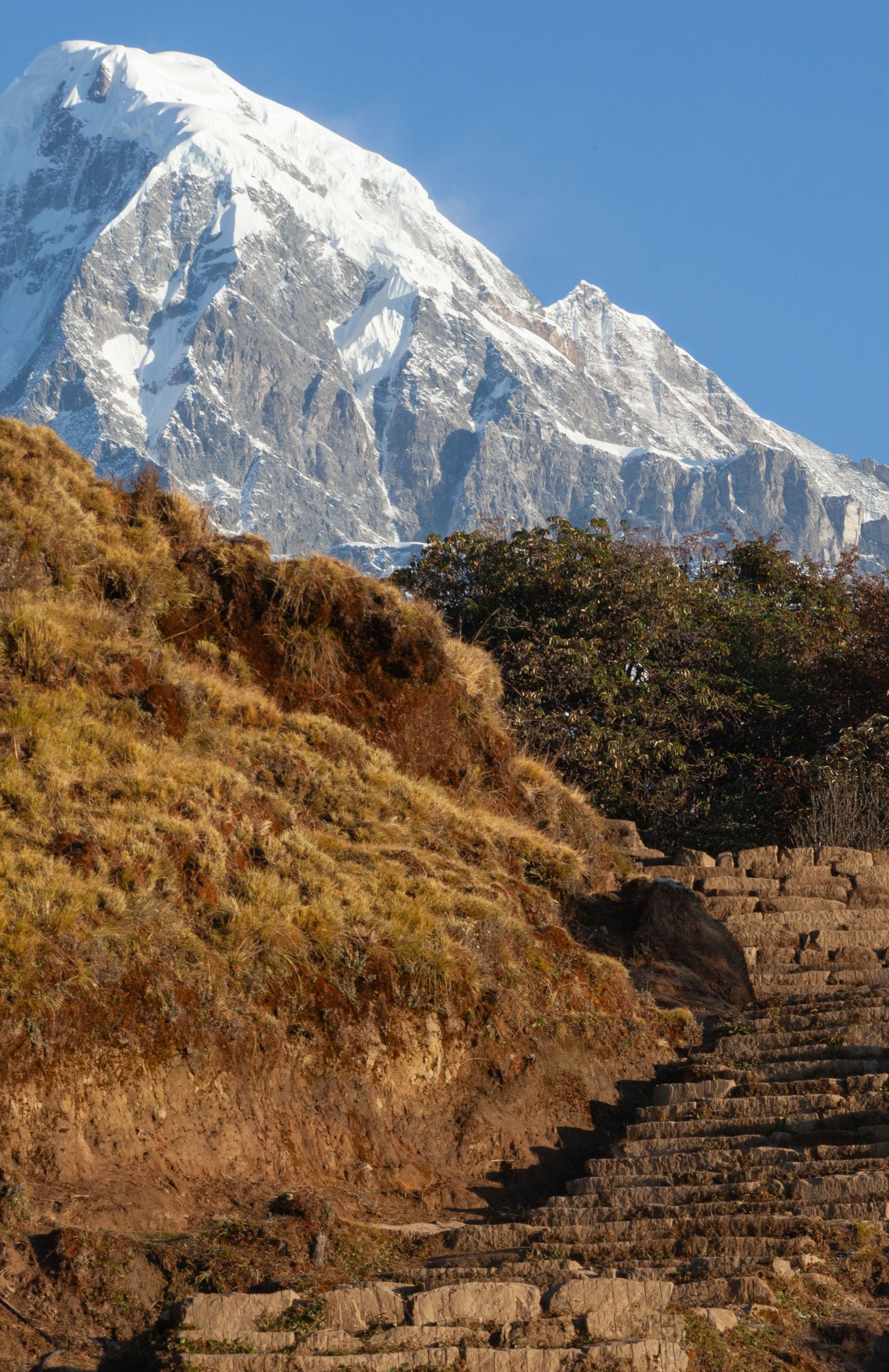 Mardi Himal Trekking