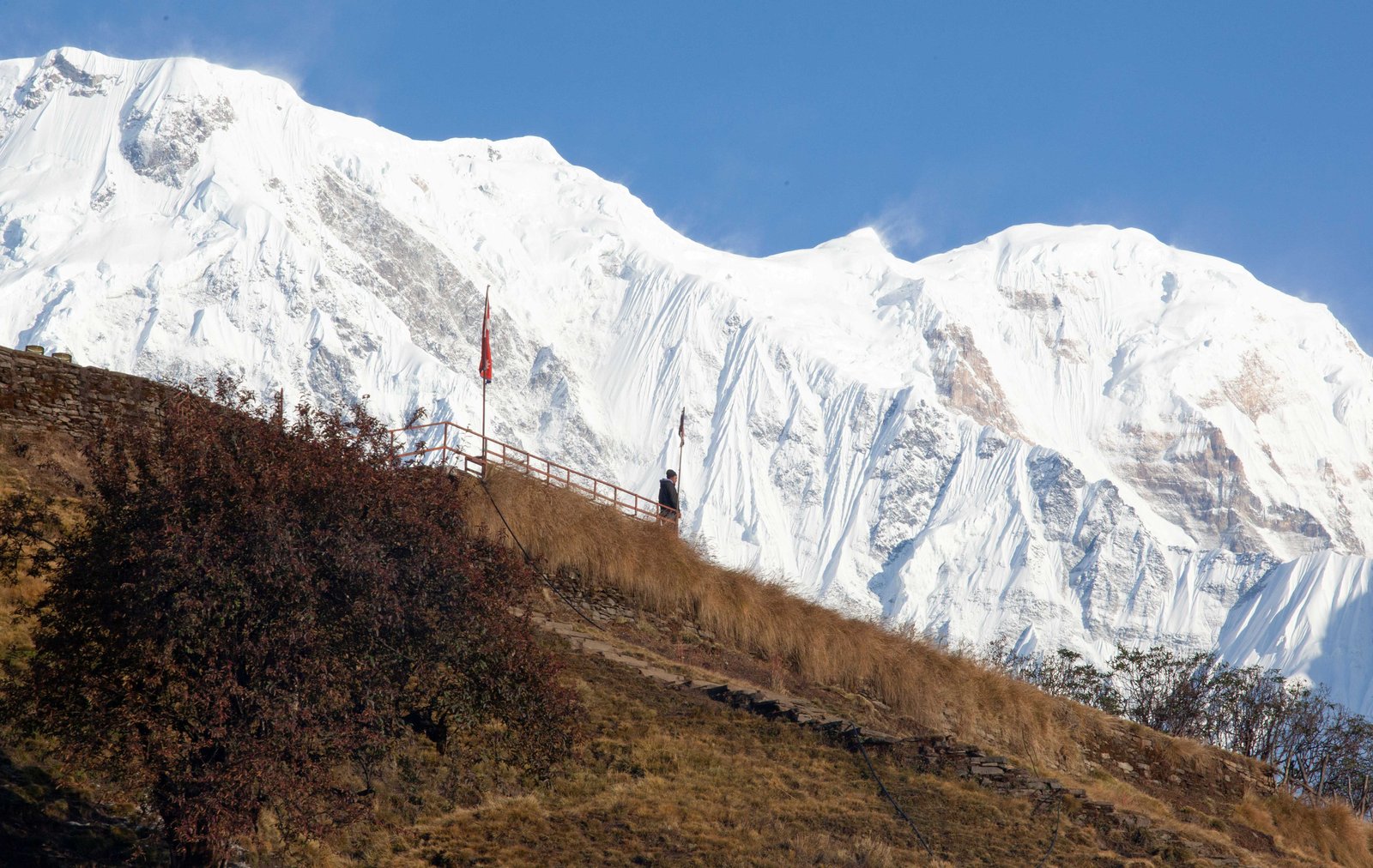 mardi-himal-trekking-road-and-trails-image
