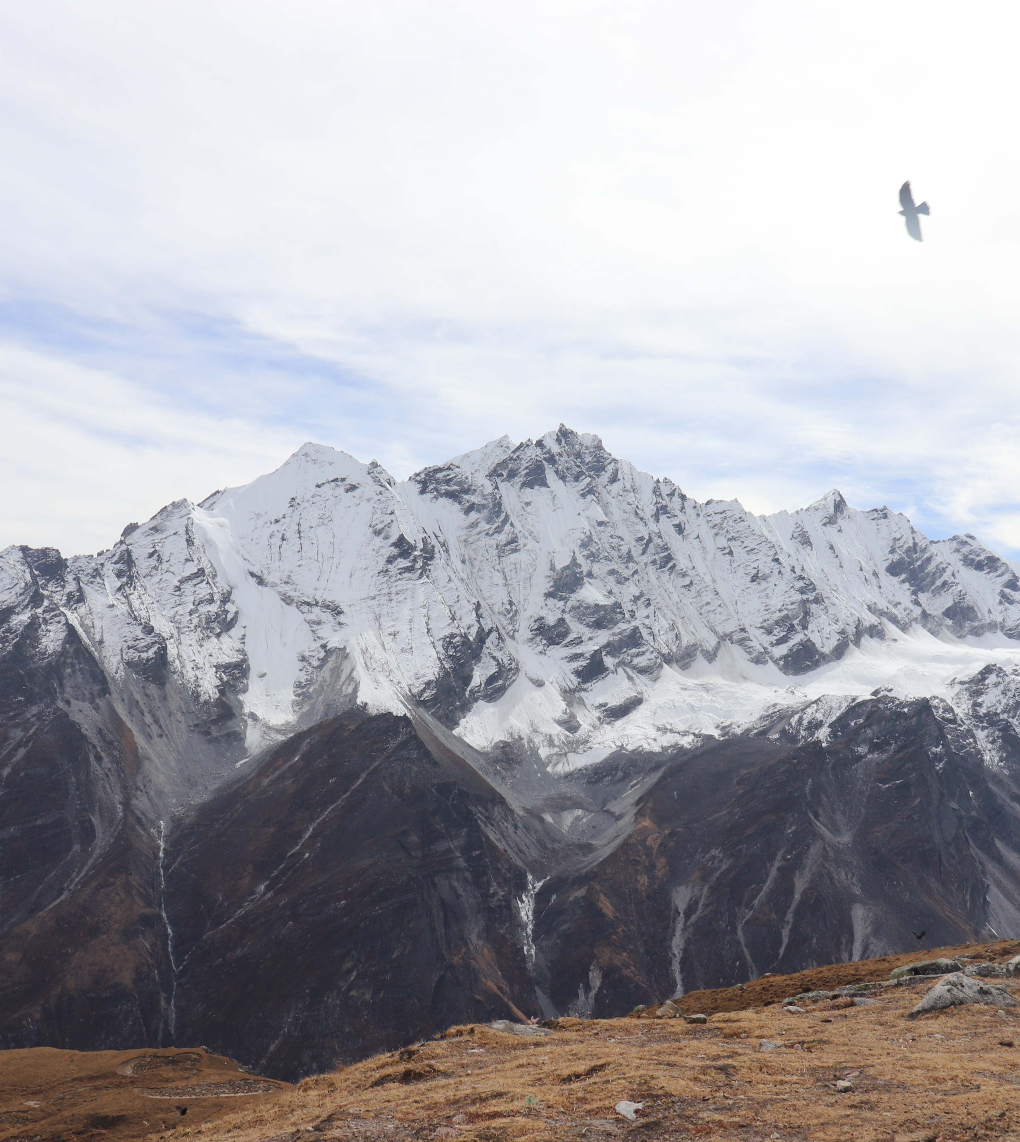 Langtang Valley & Gosainkunda Trekking