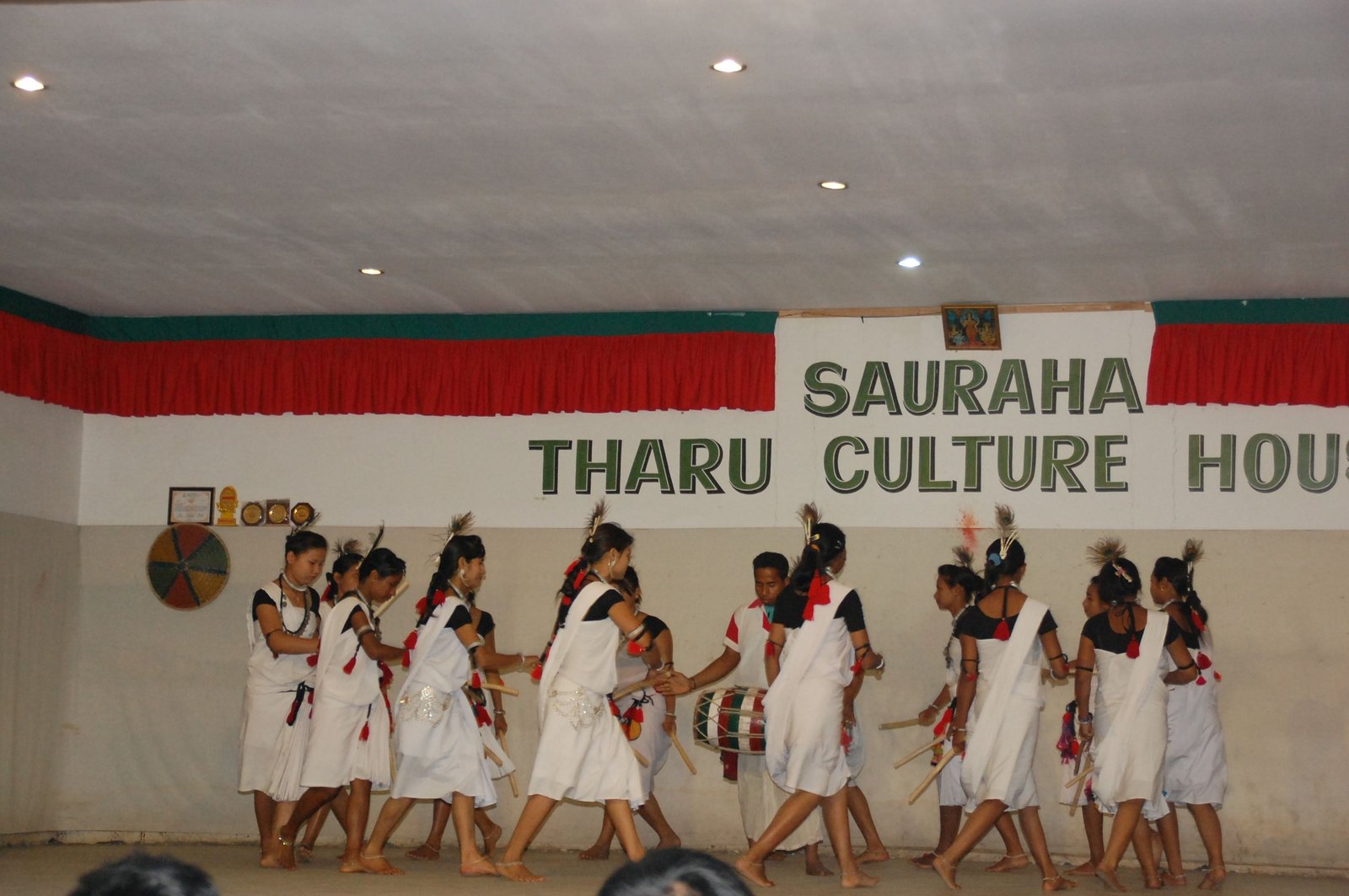 chitwan-national-park-wildlife-safari-food-and-culture-image