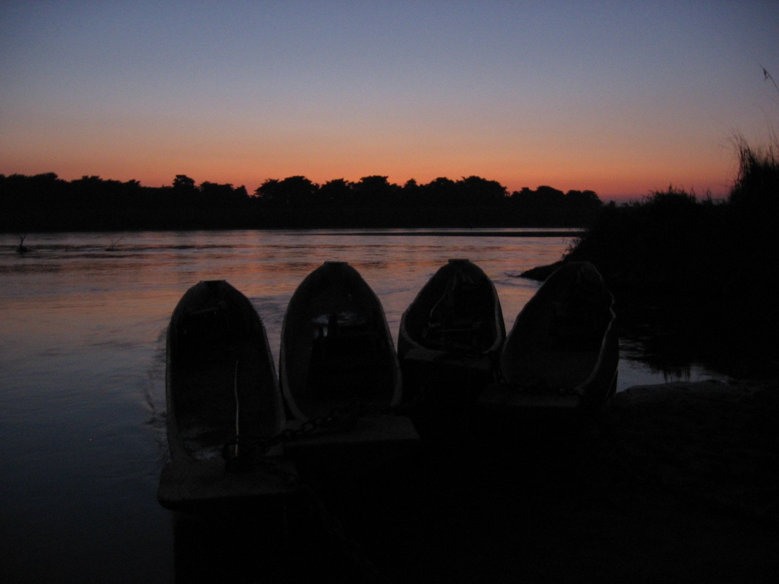 chitwan-national-park-wildlife-safari-road-and-trails-image