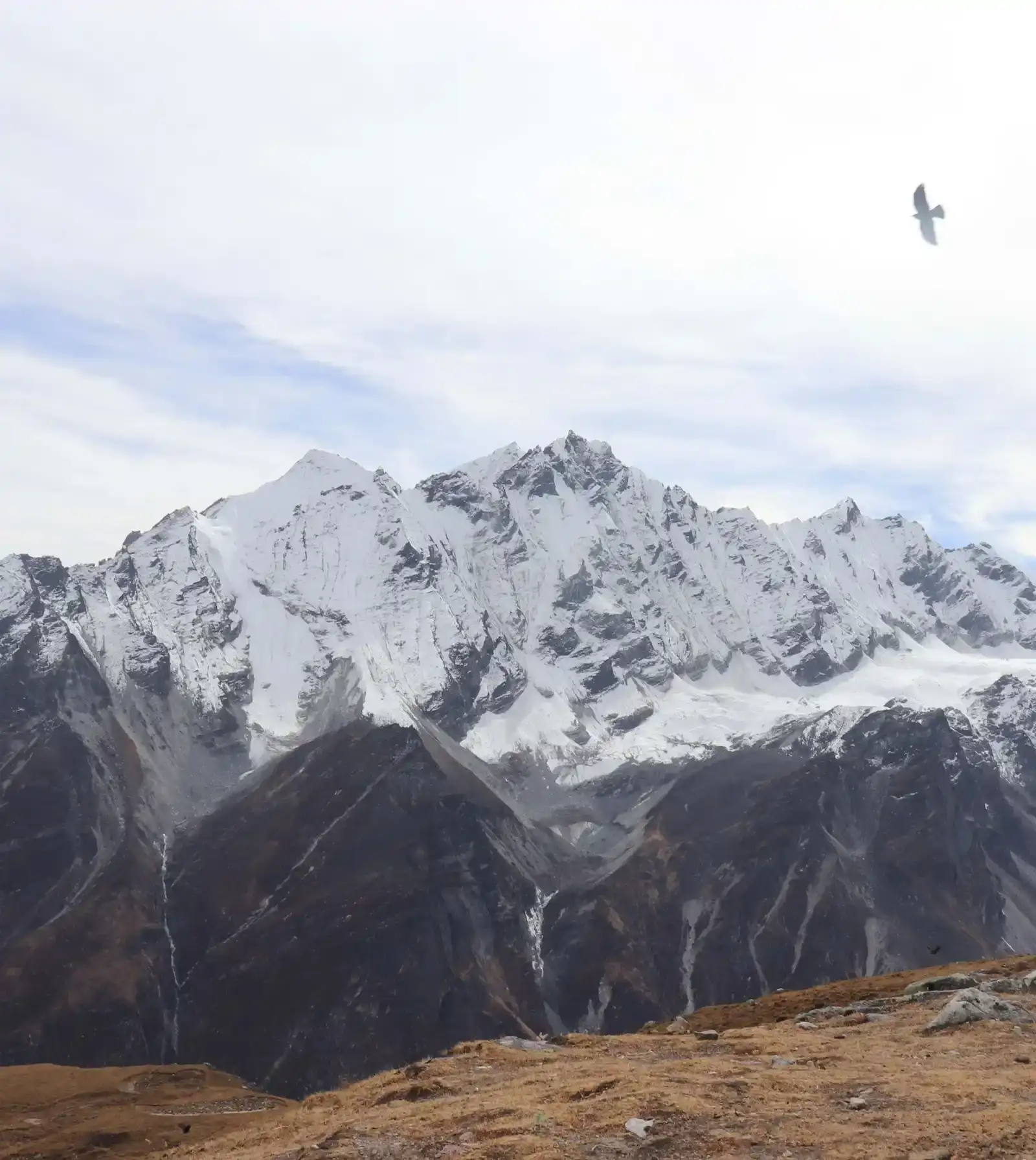 Langtang Valley & Gosainkunda Trekking : Spiritual Journey for Women