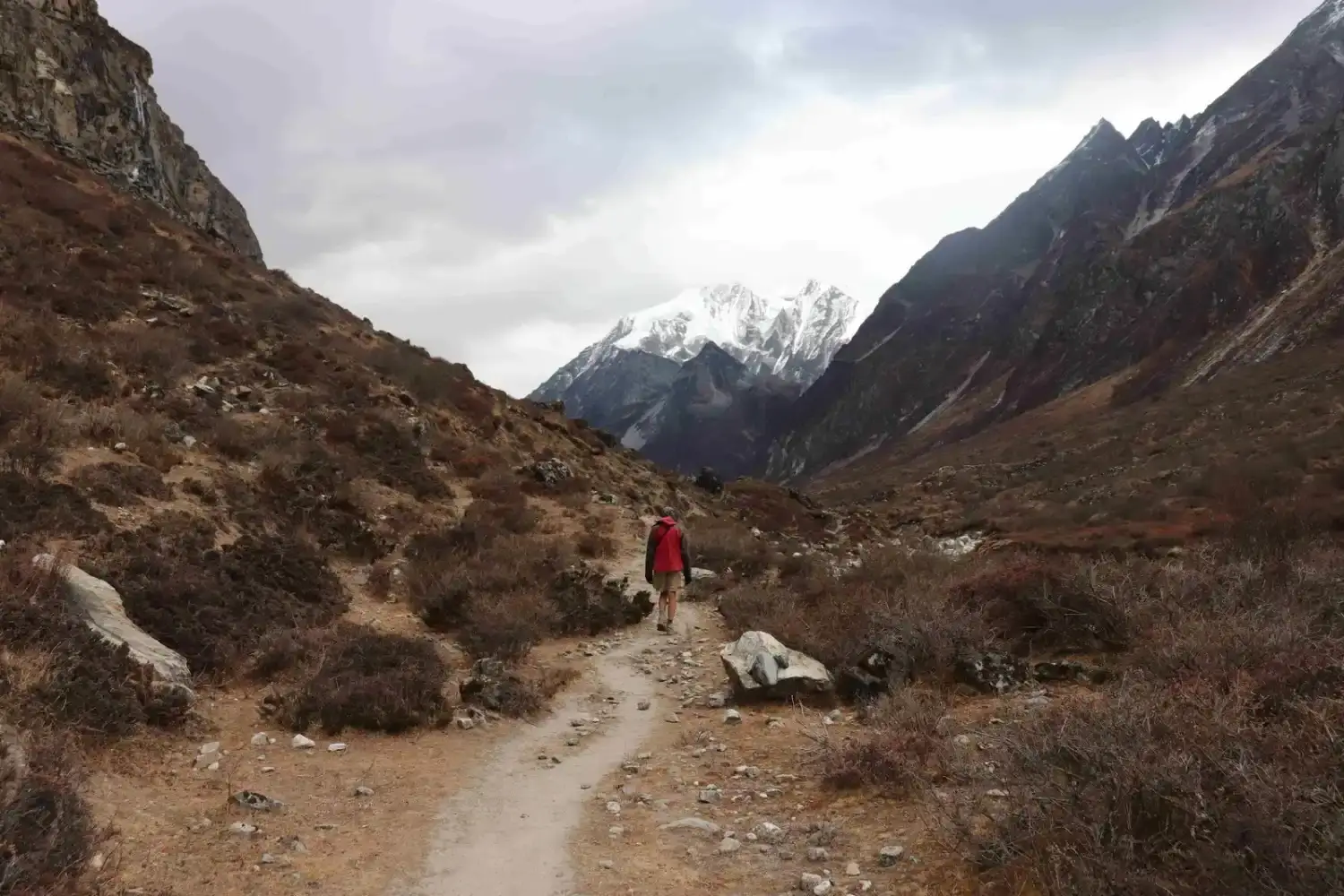 langtang-valley-gosainkunda-trekking-road-and-trails-image