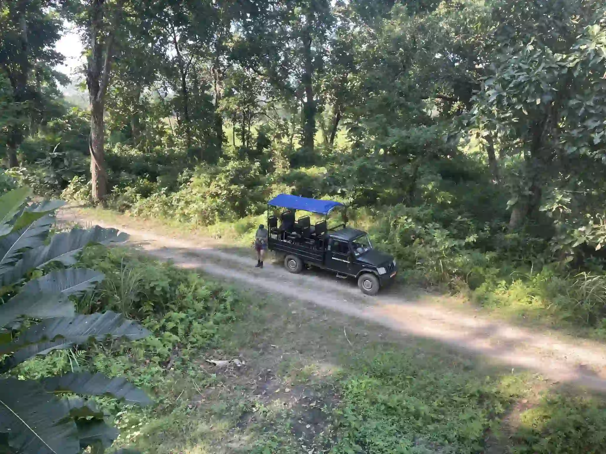 Why Go on a Wildlife Jungle Safari in Nepal?