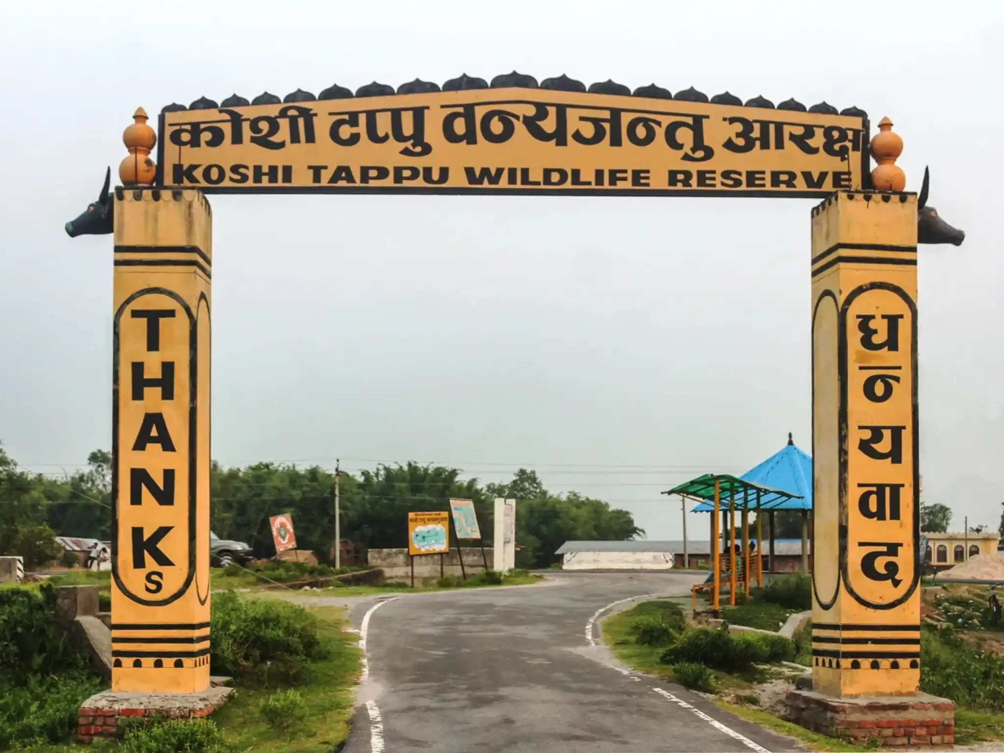 Koshi Tappu Wildlife Reserve