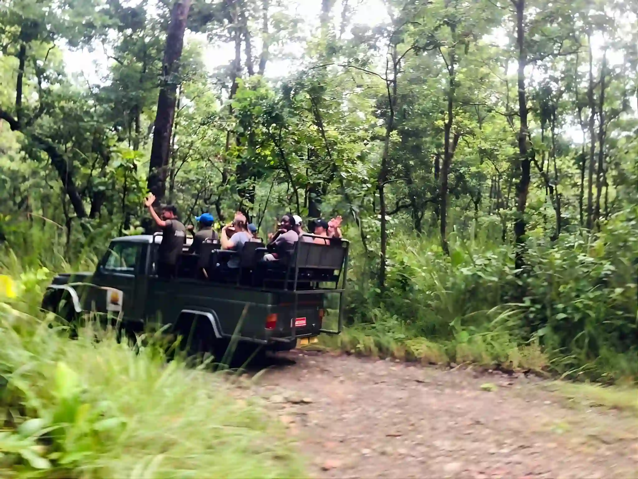 Safaris in Bardiya Park