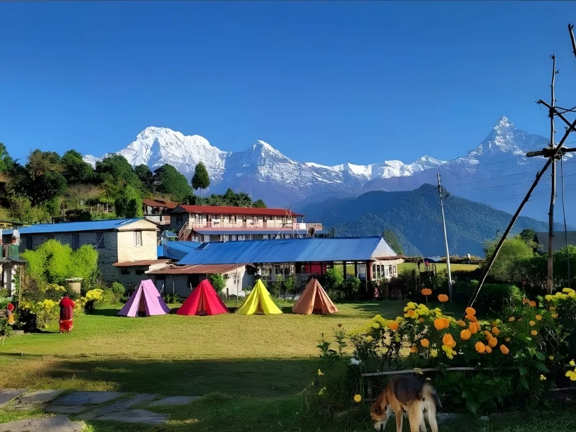 5. Australian Camp Trekking