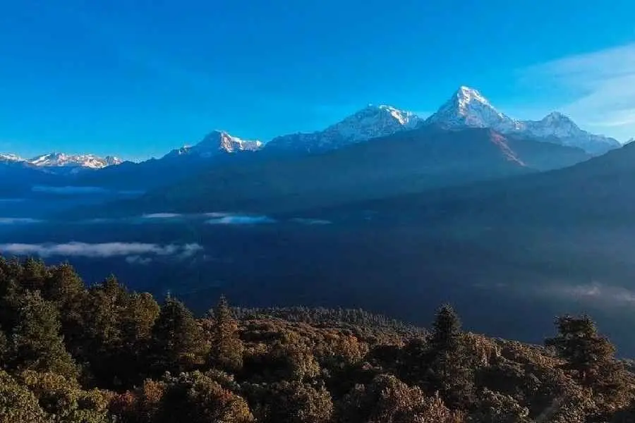 Ghorepani Poon Hill Trek