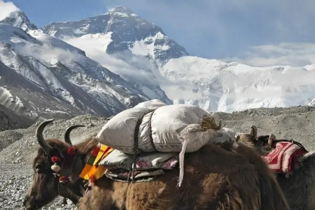 6. Chulu West (6419m / 21,055ft)