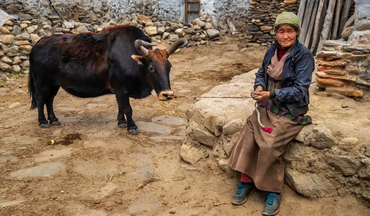 Unique Features of Women Adventures Women-Only Tiji Festival Trek