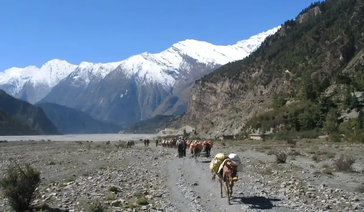 How to Prepare for the Annapurna Circuit Trek Based on the Season?