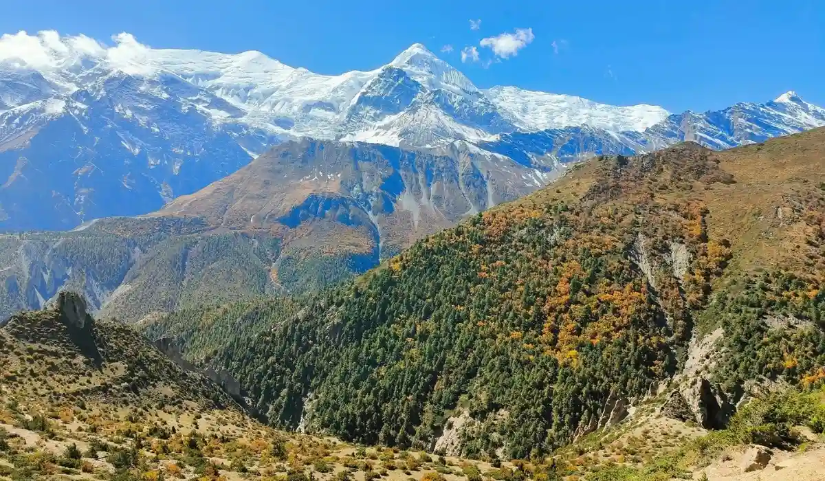 Autumn (Mid-September-November)