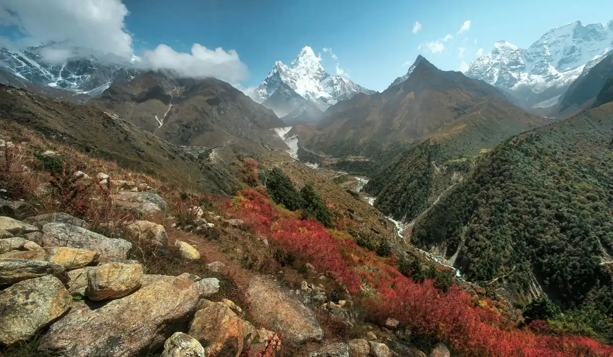 Monsoon (June-August)