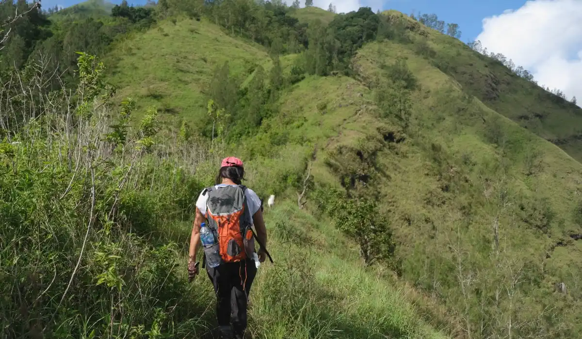 Can You Still Trek Independently in Nepal?