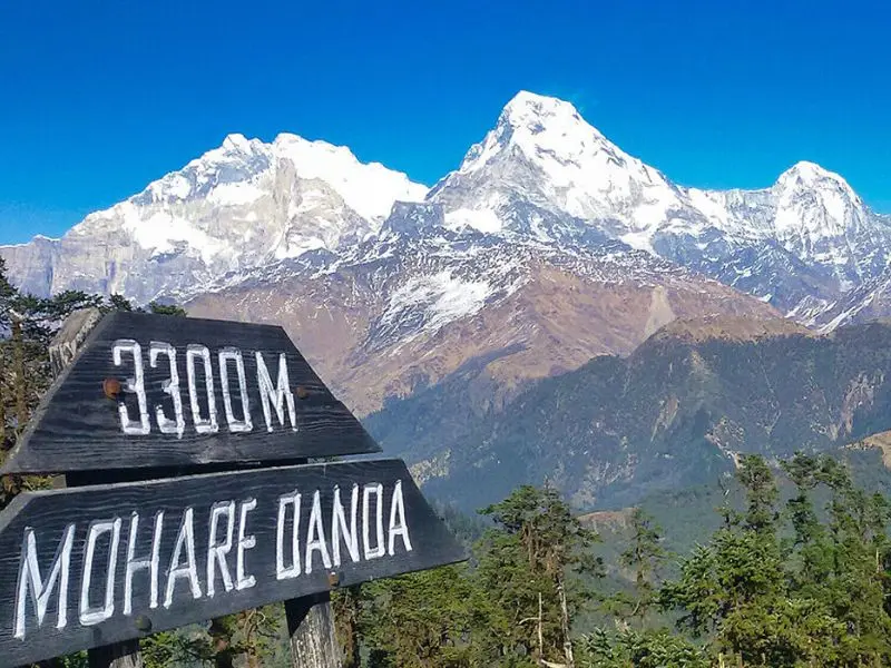 Mohare Danda Trek (3–4 days)