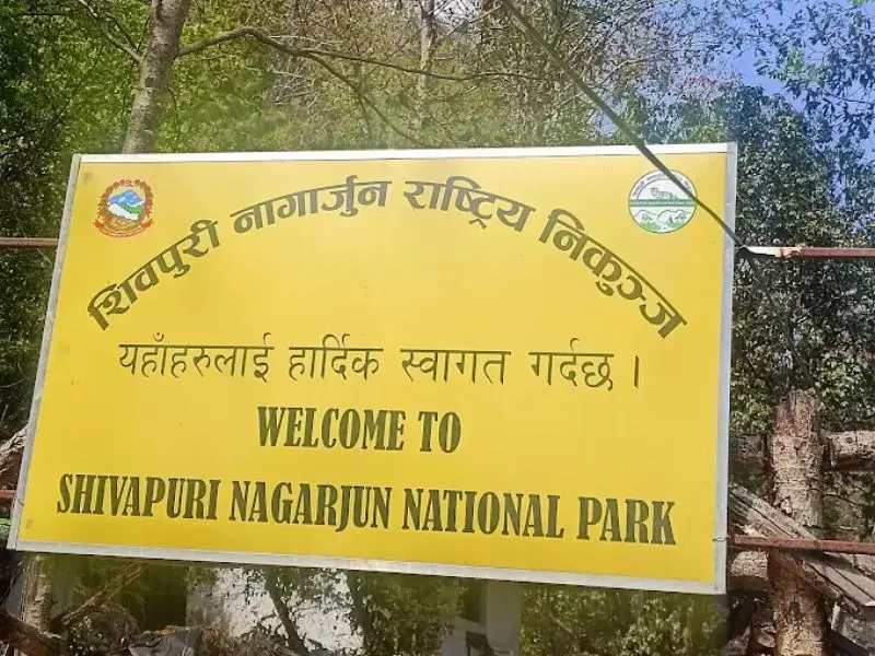 Shivapuri National Park Hike