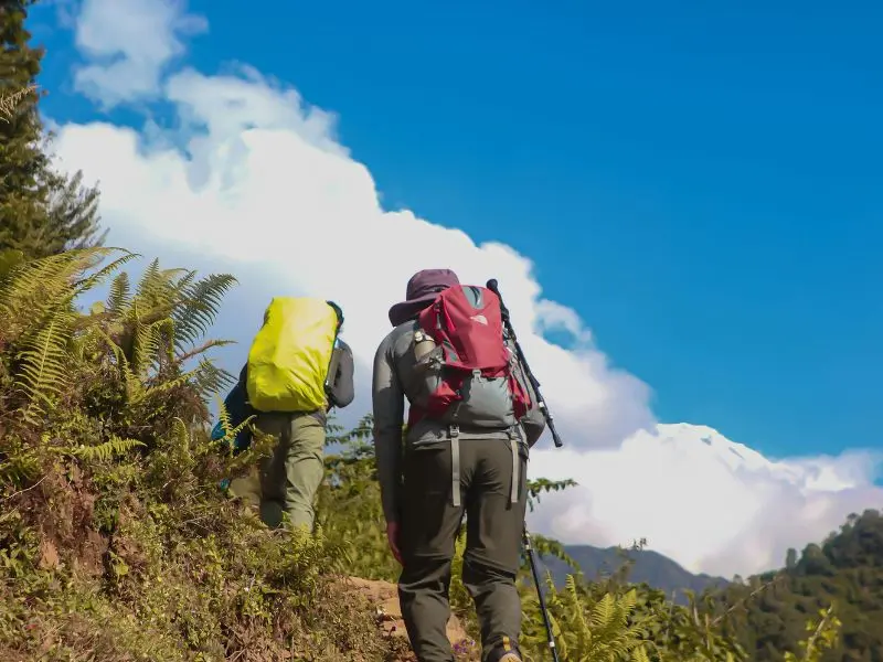 Guided Hiking: