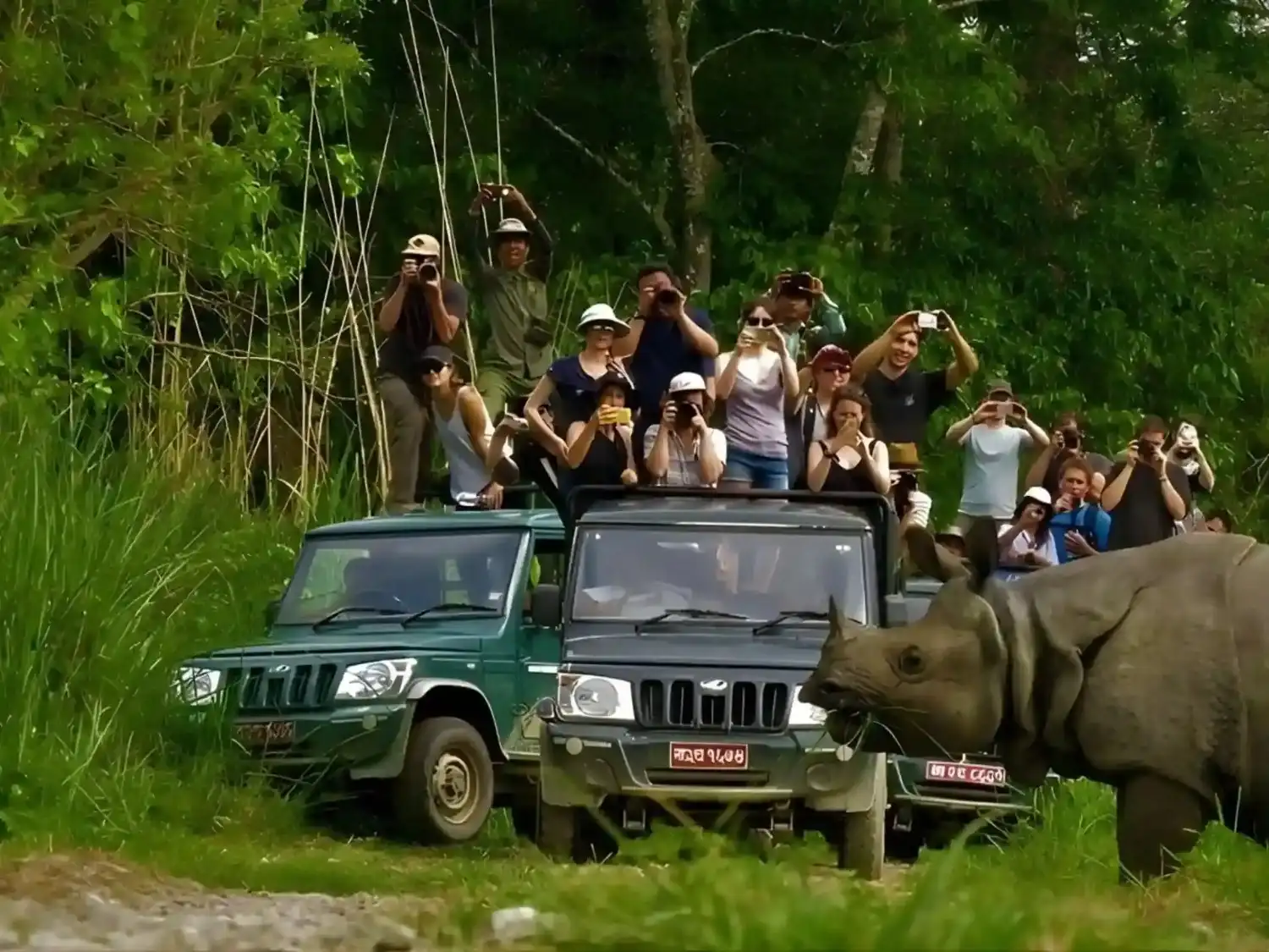 Safaris in the Park