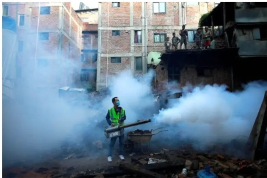5. Dengue in Kathmandu, Pokhara and Lowland Transit Stops